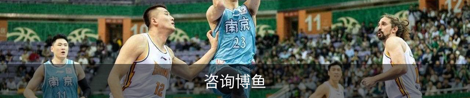 咨询博鱼