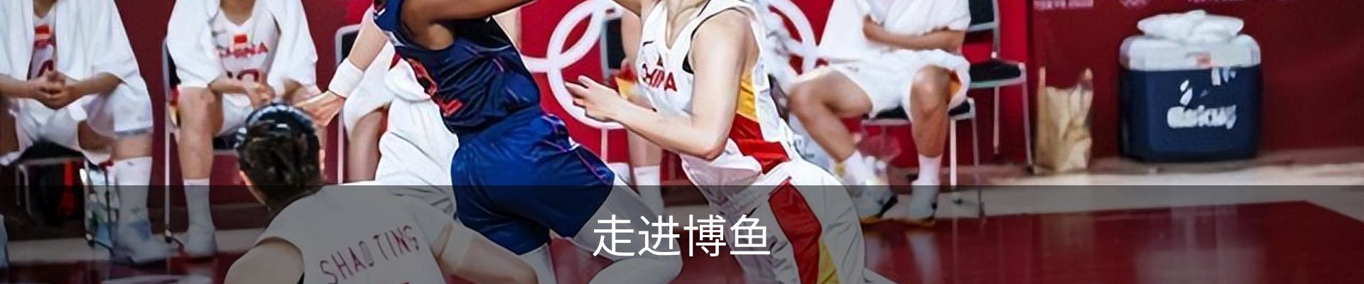 走进博鱼